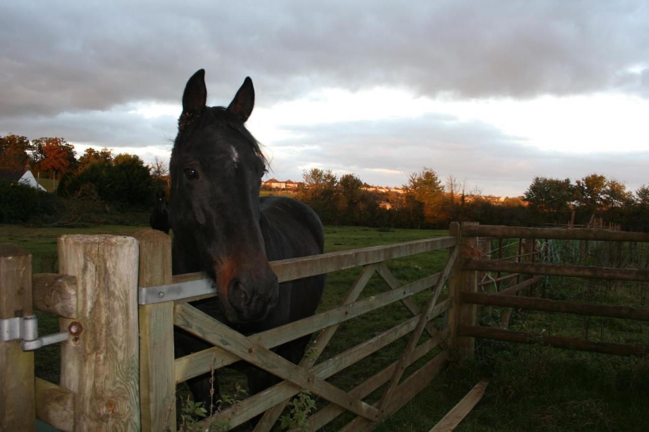 Greenway Farm Bed and Breakfast Bridgwater Buitenkant foto