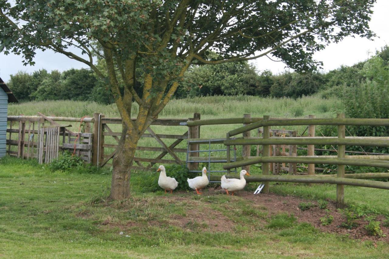 Greenway Farm Bed and Breakfast Bridgwater Buitenkant foto